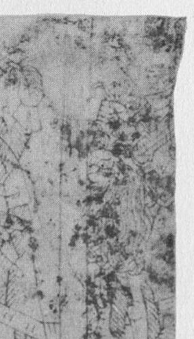 Datei:SPKW-Q14669-Cary Collection 4-page 0264-05-einzelkarte.jpg