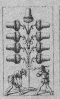 Datei:SPKW-Q15361-Cary Collection 4-page 0296-04-dt-eichel-9.jpg