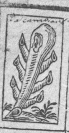 Datei:SPKW-Q15634-Cary Collection 4-page 0309-01-es-stab-1.jpg