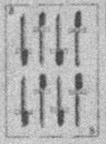 Datei:SPKW-Q15873-SPA sheet 299-k33-SPA sheet 299-es-schwert-8.jpg