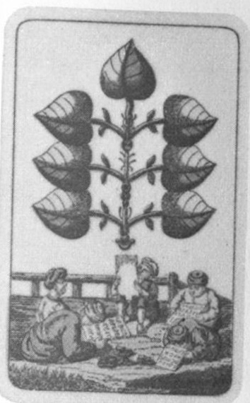 Datei:SPKW-Q13720-Cary Collection 3-page 0025-03-dt-gruen-7.jpg