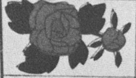 Datei:SPKW-Q15711-JAP sheet 290-k37-JAP sheet 290-einzelkarte.jpg