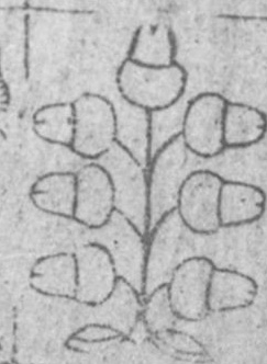 Datei:SPKW-Q15352-Cary Collection 4-page 0289-03-einzelkarte.jpg
