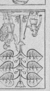 Datei:SPKW-Q13802-Cary Collection 4-page 0213-36-dt-gruen-6.jpg