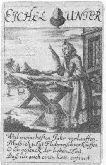 Datei:SPKW-Q15126-Cary Collection 3-page 0359-06-dt-eichel-unter.jpg