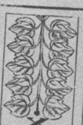 Datei:SPKW-Q15353-Cary Collection 4-page 0289-14-dt-gruen-10.jpg