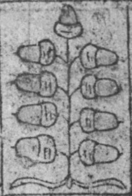 Datei:SPKW-Q15347-GER sheet 245-k07-GER sheet 244-dt-eichel-9.jpg