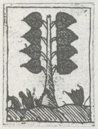 Datei:SPKW-Q29921-bnm-scan-s083r-z02s06-dt-gruen-8.jpg