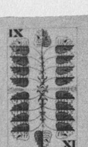 Datei:SPKW-Q15444-Cary Collection 4-page 0304-38-dt-gruen-9.jpg