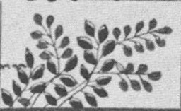 Datei:SPKW-Q15711-JAP sheet 290-k46-JAP sheet 290-einzelkarte.jpg
