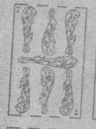 Datei:SPKW-Q15870-Cary Collection 4-page 0315-13-es-stab-7.jpg