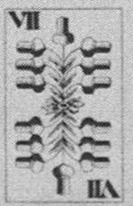 Datei:SPKW-Q13843-AUS sheet 65-k07-AUS sheet 65-dt-eichel-7.jpg