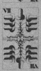 Datei:SPKW-Q15444-Cary Collection 4-page 0304-48-dt-schellen-7.jpg