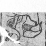 Datei:SPKW-Q15341-GER sheet 238-k15-GER sheet 238-einzelkarte.jpg