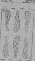 Datei:SPKW-Q15870-Cary Collection 4-page 0315-16-es-stab-6.jpg