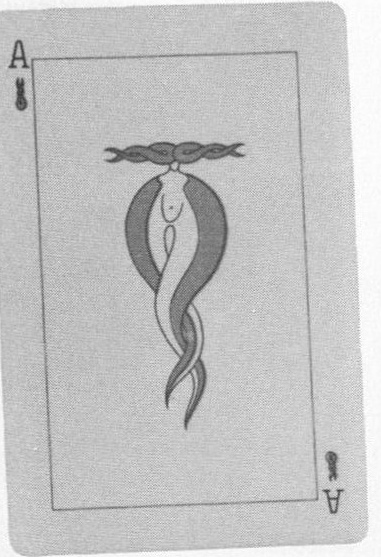Datei:SPKW-Q14531-Cary Collection 3-page 0232-13-einzelkarte.jpg