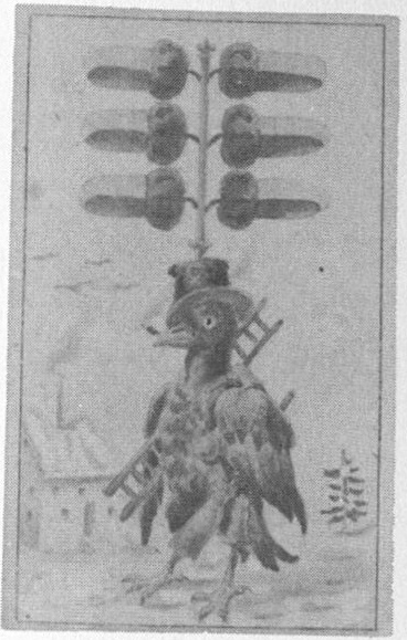 Datei:SPKW-Q15149-Cary Collection 3-page 0365-03-dt-eichel-6.jpg