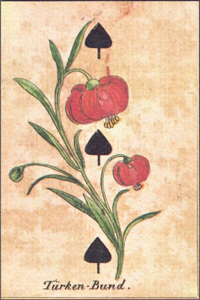 Datei:SPKW-Q38303-Scan2026-09-26 055159 06-frz-pik-3.jpg