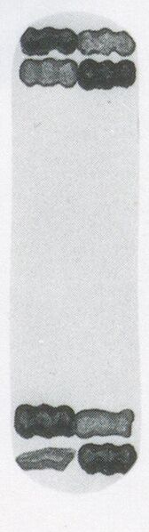 Datei:SPKW-Q3885-t238-pic 2026-09-12 164730-l-z4-s1-einzelkarte.jpg