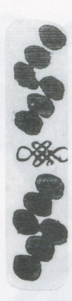Datei:SPKW-Q3884-t238-pic 2026-09-12 164730-l-z1-s6-einzelkarte.jpg