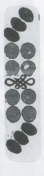 Datei:SPKW-Q3884-t238-pic 2026-09-12 164730-l-z2-s5-einzelkarte.jpg