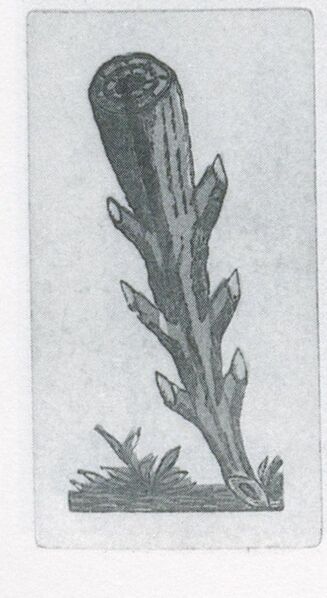 Datei:SPKW-Q3706-t109-pic 2026-09-12 163915-r-z4-s1-es-stab-1.jpg