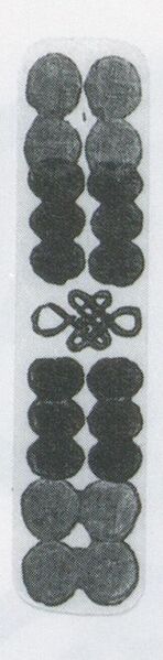 Datei:SPKW-Q3884-t238-pic 2026-09-12 164730-l-z1-s1-einzelkarte.jpg