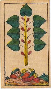 Grün-7 (dt.)