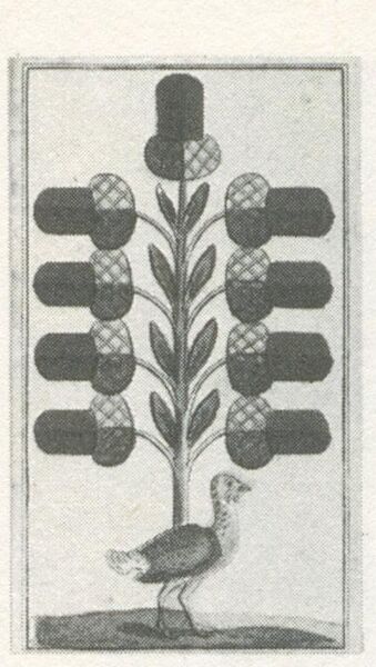 Datei:SPKW-Q29885-bnm-scan-s146r-z01s02-dt-eichel-9.jpg
