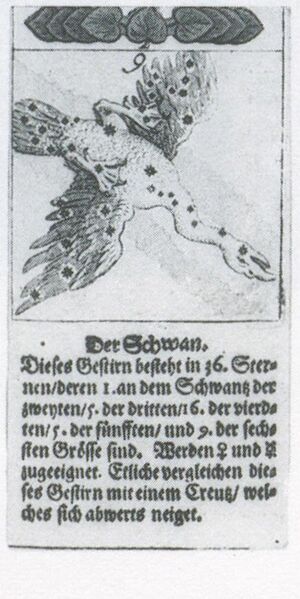 Datei:SPKW-Q3912-t262-pic 2026-09-12 164852-l-z4-s4-dt-gruen-9.jpg