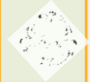 Barockstempel Linz (A S), Typ I