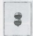 Vorschaubild der Version vom 15:23, 23. Sep. 2026