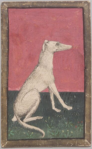 Datei:SPKW-Q12912-40-hunde-as-eins-einzelkarte.jpg