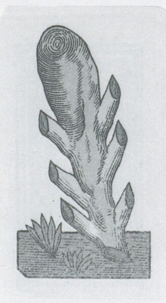 Datei:SPKW-Q3704-t107-pic 2026-09-12 163908-r-z4-s1-es-stab-1.jpg