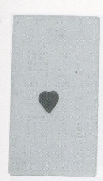 Datei:SPKW-Q3808-t189-pic 2026-09-12 164435-r-z1-s1-frz-herz-ass.jpg