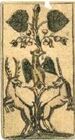Grün-Daus, Altbayerisches Bild