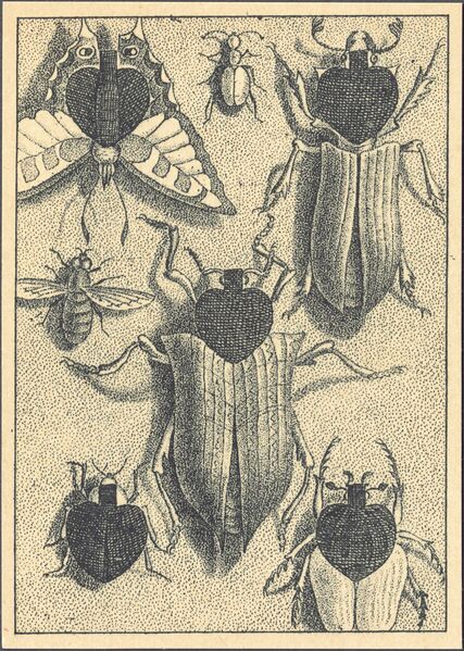 Datei:SPKW-Q30666-Scan2026-09-26 102504 08-frz-pik-5.jpg