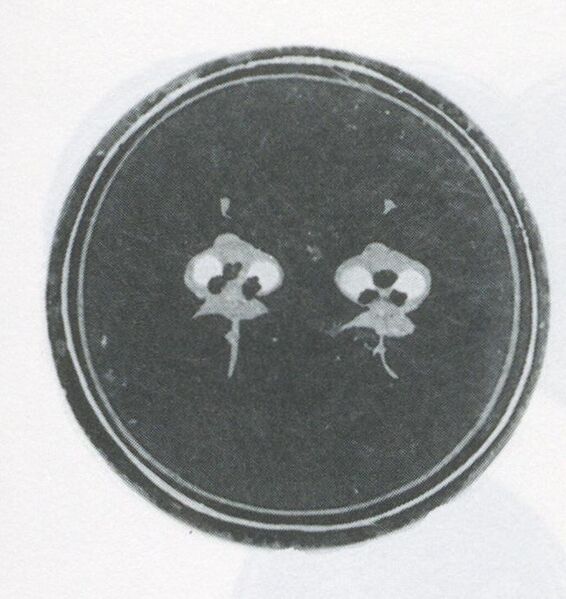 Datei:SPKW-Q3877-t233-pic 2026-09-12 164711-r-z1-s1-einzelkarte.jpg