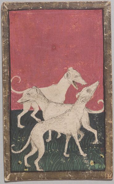 Datei:SPKW-Q12912-39-hunde-drei-einzelkarte.jpg