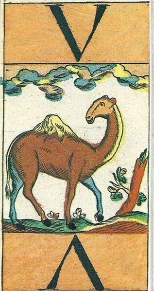 Datei:SPKW-Salzburg-Traunwiser-animal1-tarock-5.jpg