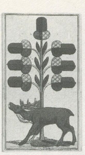 Datei:SPKW-Q29885-bnm-scan-s146r-z01s04-dt-eichel-7.jpg