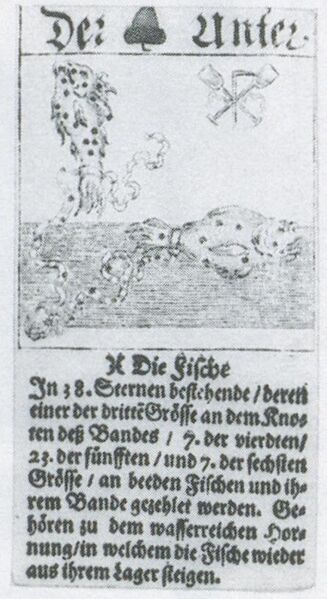 Datei:SPKW-Q3912-t262-pic 2026-09-12 164852-l-z2-s4-dt-eichel-unter.jpg