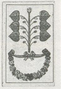 Grün-6 (dt.)