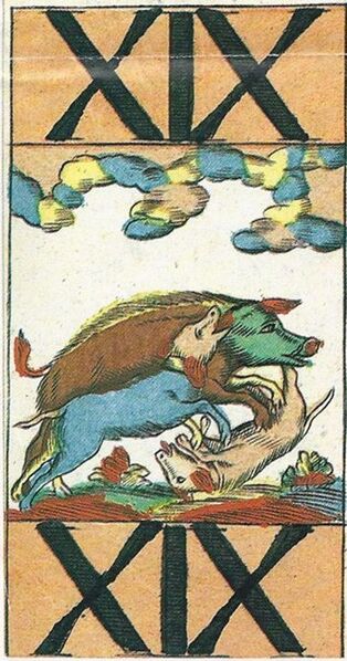 Datei:SPKW-Salzburg-Traunwiser-animal1-tarock-19.jpg