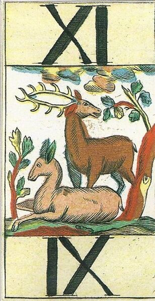 Datei:SPKW-Salzburg-Traunwiser-animal1-tarock-11.jpg