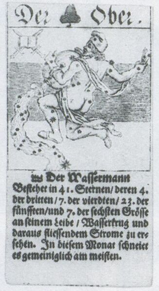 Datei:SPKW-Q3912-t262-pic 2026-09-12 164852-l-z2-s3-dt-eichel-ober.jpg