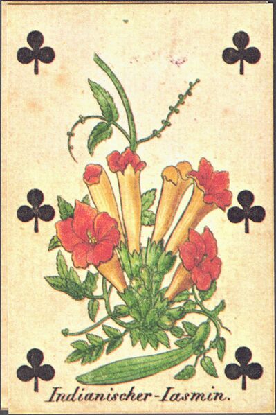 Datei:SPKW-Q38303-Scan2026-09-26 055002 03-frz-kreuz-6.jpg