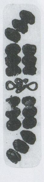 Datei:SPKW-Q3884-t238-pic 2026-09-12 164730-l-z2-s2-einzelkarte.jpg