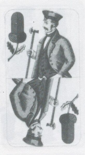 Datei:SPKW-Q3754-t147-pic 2026-09-12 164144-r-z2-s3-dt-eichel-ober.jpg