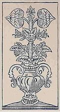 Grün-Daus (dt.) · Bayerisches Bild (Johann Michael Haslinger, Regensburg, um 1870)